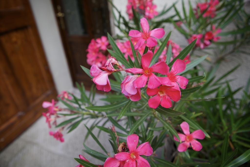 Apartamento Casa Traquandi *